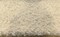 1 Yard Heavy Textured White Cream Boucle Upholstery Fabric Soft Curly Surface 54"-56" Width